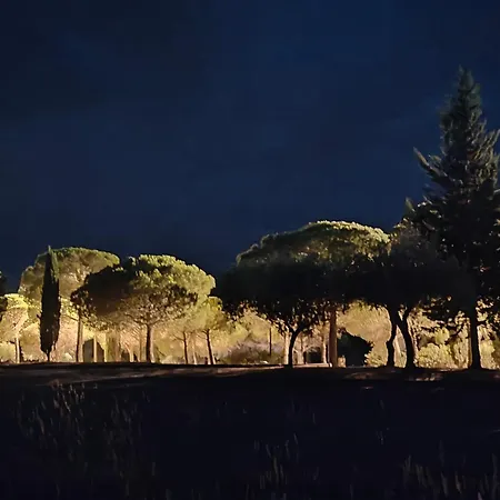 53 Πάρκο διακοπών *